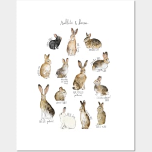 Rabbit and Hares Posters and Art